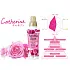 Парфюмированный кондиционер для белья LION "Soflan Aroma Rich Catherine" (480 мл) Парфюмированный кондиционер для белья LION "Soflan Aroma Rich Catherine" (480 мл)