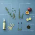 Освежающее масло для очищения кожи NURSERY Refreshing Cleansing Oil Herbal Green Tea (180 мл) Освежающее масло для очищения кожи NURSERY Refreshing Cleansing Oil Herbal Green Tea (180 мл)
