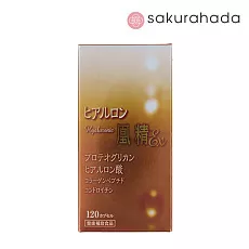 Протеогликан и гиалуроновая кислота для суставов и кожи Hyaluron Hosei Excellent (120 шт)