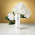 Oмолаживающая сыворотка нового поколения DIREIA The Stem Serum iP Some (30 мл)