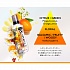 Кондиционер для белья KAO Flair Fragrance&Sports Tropical, тропический аромат, сменный блок (420 мл)